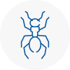Ant Removals In Chipping Sodbury