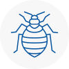 Bed Bug Extermination In Chipping Sodbury