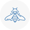Bee Nest Removal Chipping Sodbury