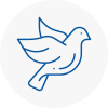 Bird Prevention Chipping Sodbury