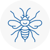 Chipping Sodbury Hornet Nest Removals