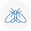 Moth Control Specialists In Chipping Sodbury