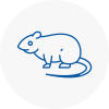 Rat Control Chipping Sodbury