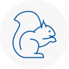 Chipping Sodbury Rodent Removals