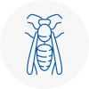 Chipping Sodbury Wasp Nest Removal